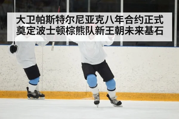 大卫帕斯特尔尼亚克八年合约正式奠定波士顿棕熊队新王朝未来基石